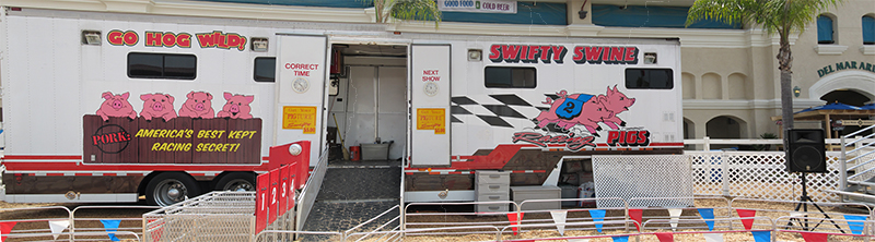 Swifty Swine Arena
